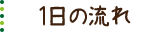 1日の流れ